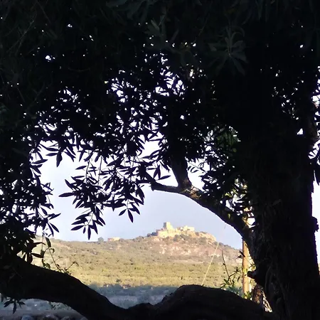 Torre Agetria شقة Koíta