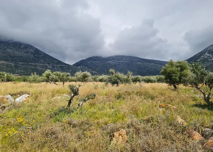 Apartamento Torre Agetria *