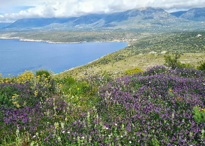 Torre Agetria Apartamento *