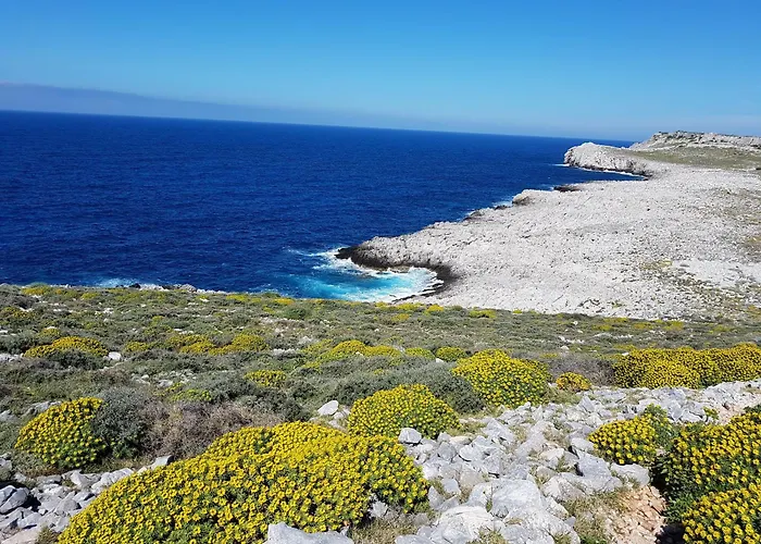 Lägenhet Torre Agetria *